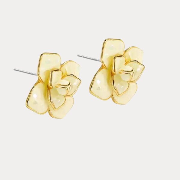 6_881a6cbd-c603-409f-b76b-07bba2f7a15c 6_881a6cbd-c603-409f-b76b-07bba2f7a15c