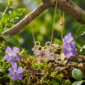 Easter_26_9df68203-a3af-4e85-b357-575b3c2c1e3f